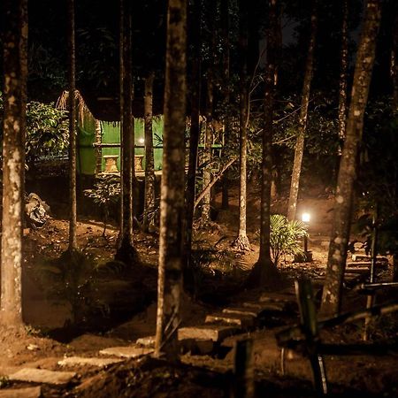 Wooden Cottages Glen Wayanad Meppadi Luaran gambar
