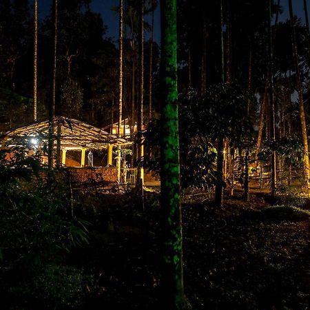 Wooden Cottages Glen Wayanad Meppadi Luaran gambar