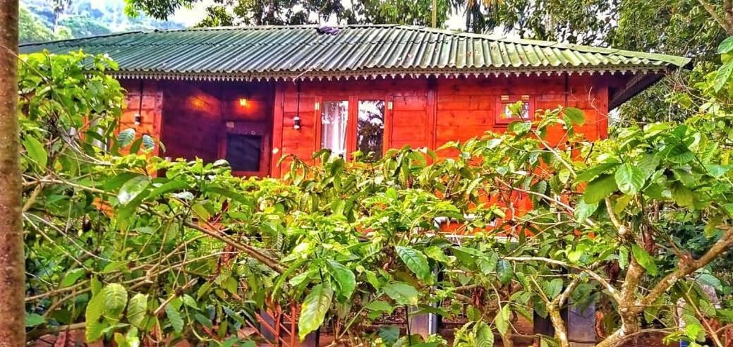 Wooden Cottages Glen Wayanad Meppadi Luaran gambar
