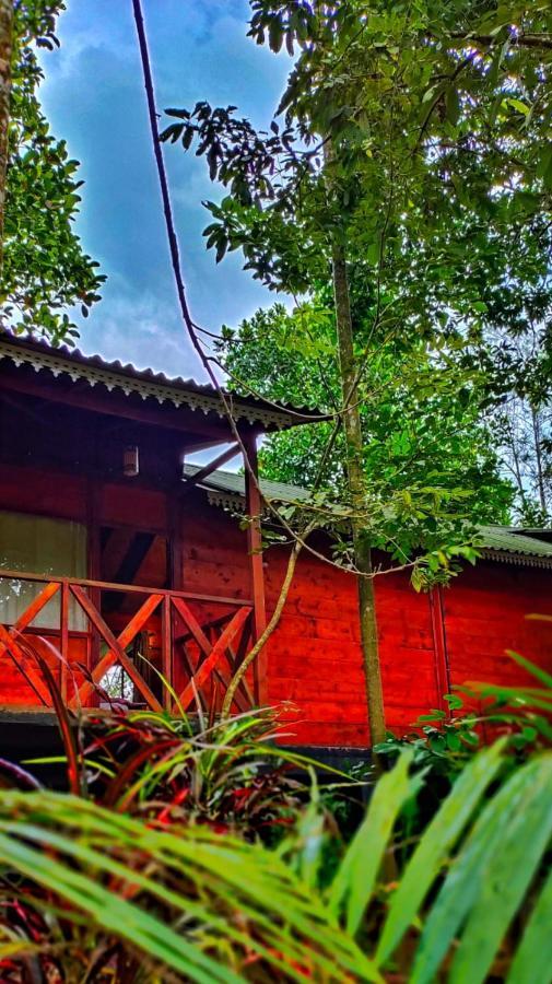 Wooden Cottages Glen Wayanad Meppadi Luaran gambar