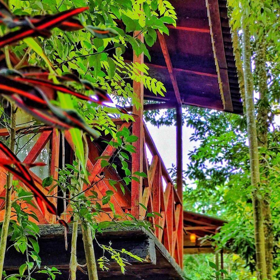 Wooden Cottages Glen Wayanad Meppadi Luaran gambar