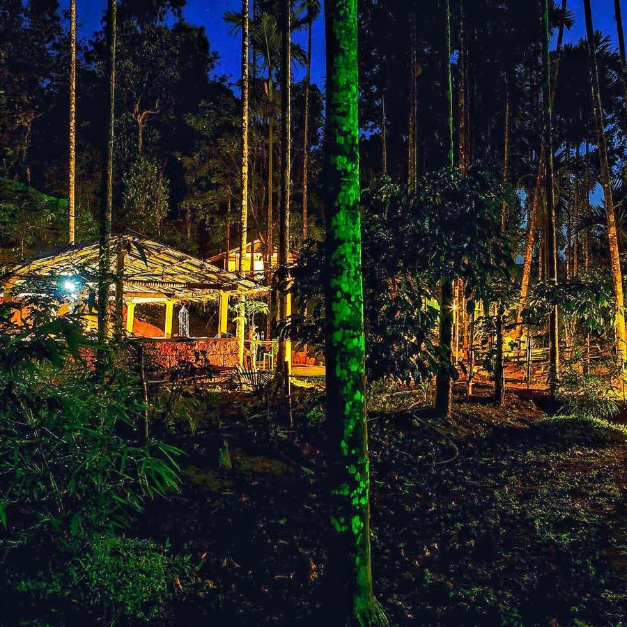 Wooden Cottages Glen Wayanad Meppadi Luaran gambar