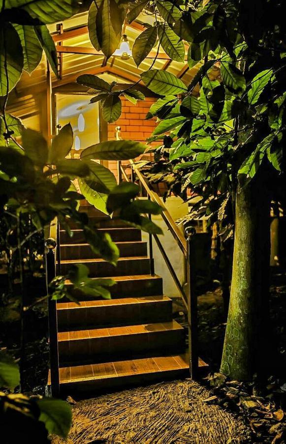 Wooden Cottages Glen Wayanad Meppadi Luaran gambar