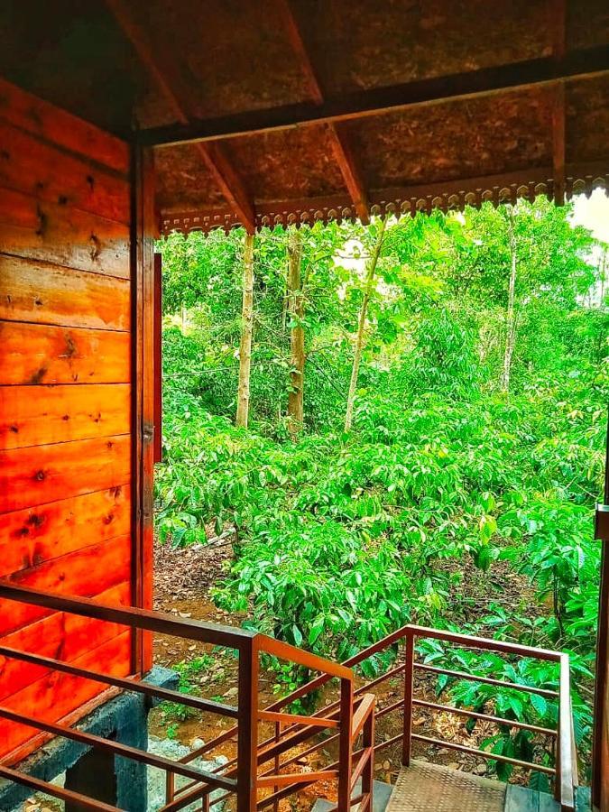 Wooden Cottages Glen Wayanad Meppadi Luaran gambar