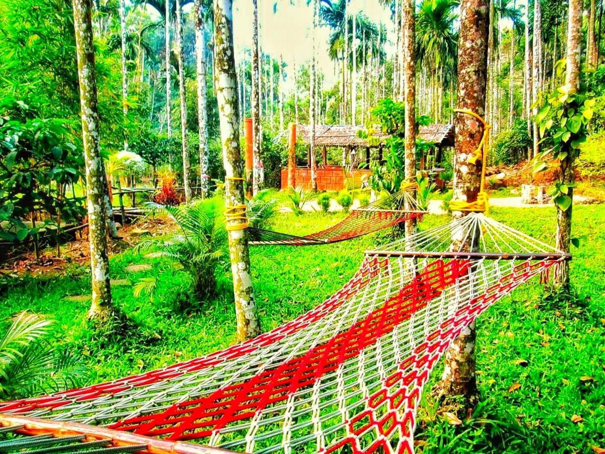 Wooden Cottages Glen Wayanad Meppadi Luaran gambar