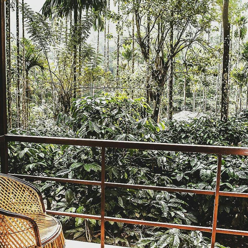 Wooden Cottages Glen Wayanad Meppadi Luaran gambar