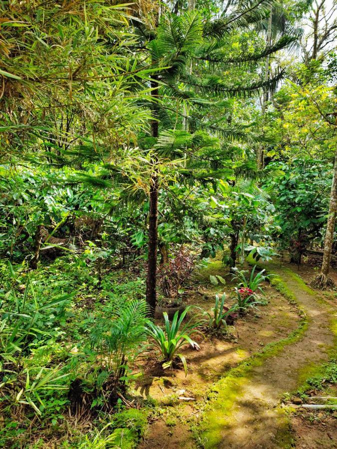 Wooden Cottages Glen Wayanad Meppadi Luaran gambar