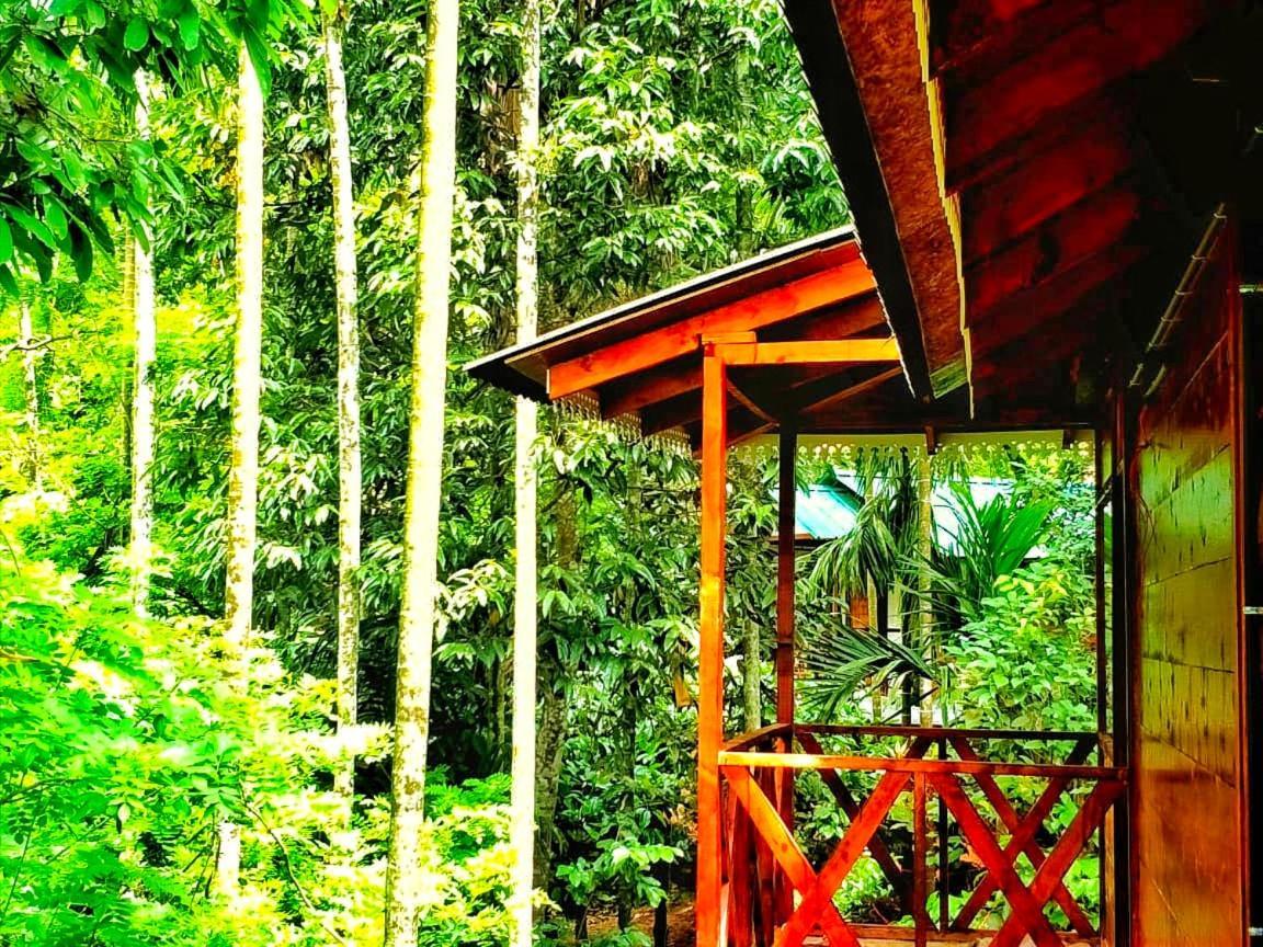 Wooden Cottages Glen Wayanad Meppadi Luaran gambar