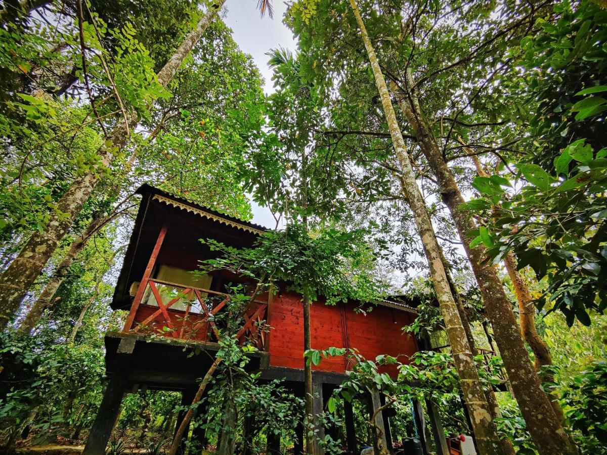 Wooden Cottages Glen Wayanad Meppadi Luaran gambar