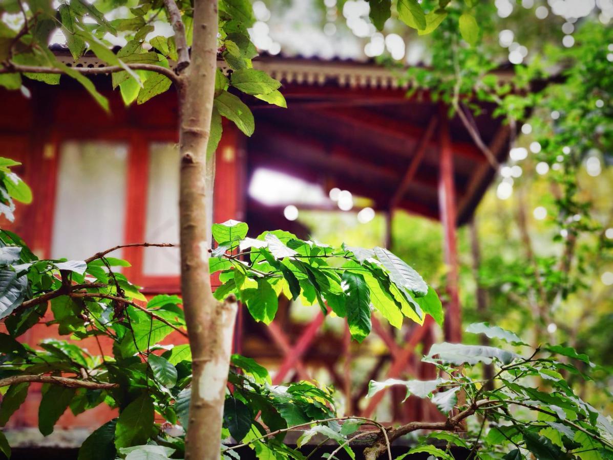 Wooden Cottages Glen Wayanad Meppadi Luaran gambar