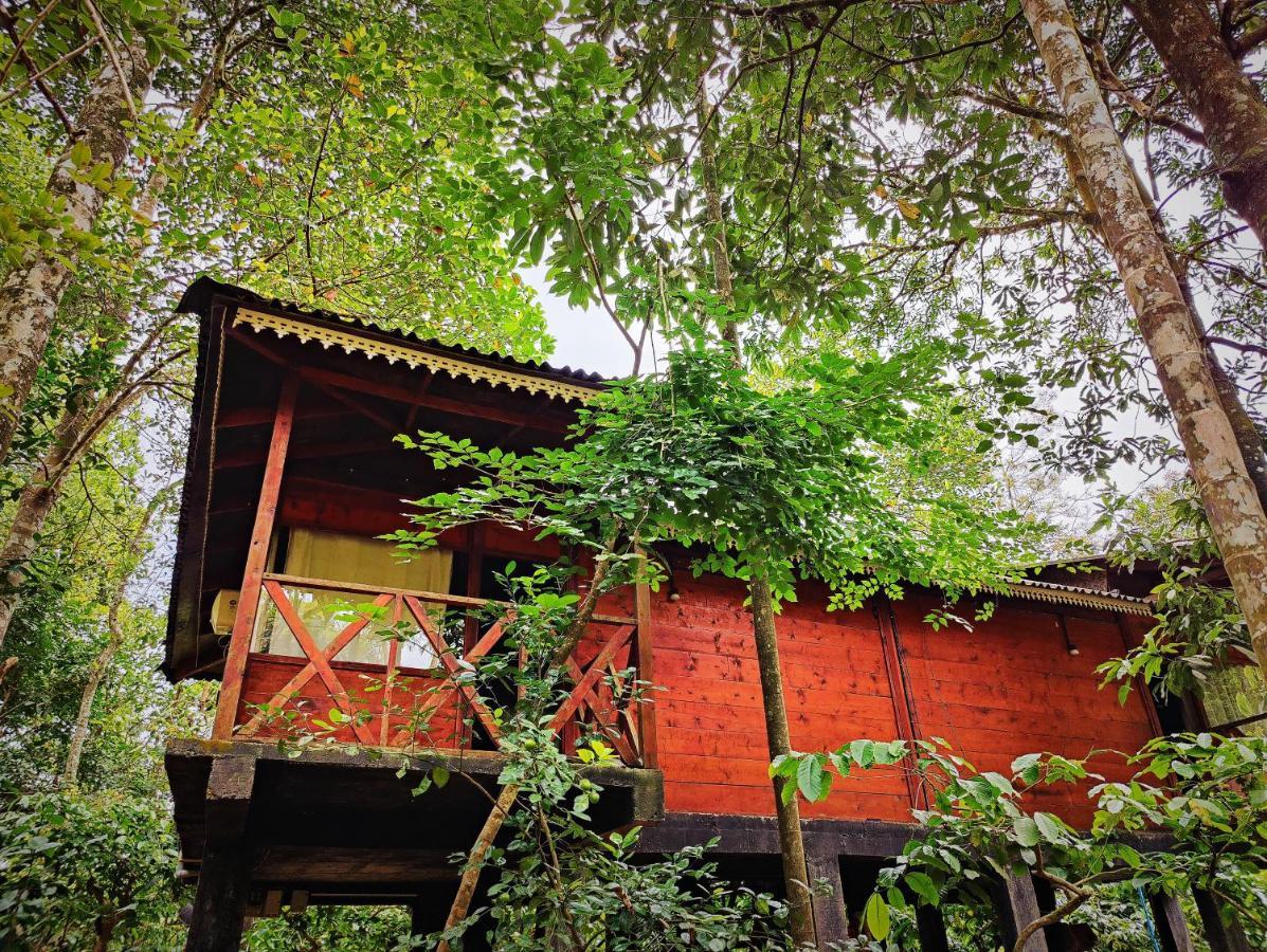 Wooden Cottages Glen Wayanad Meppadi Luaran gambar