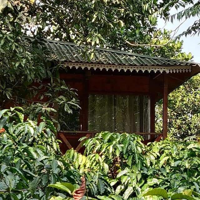 Wooden Cottages Glen Wayanad Meppadi Luaran gambar