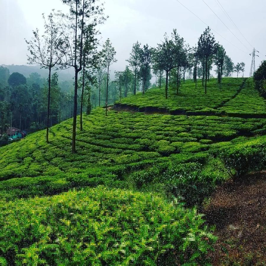 Wooden Cottages Glen Wayanad Meppadi Luaran gambar