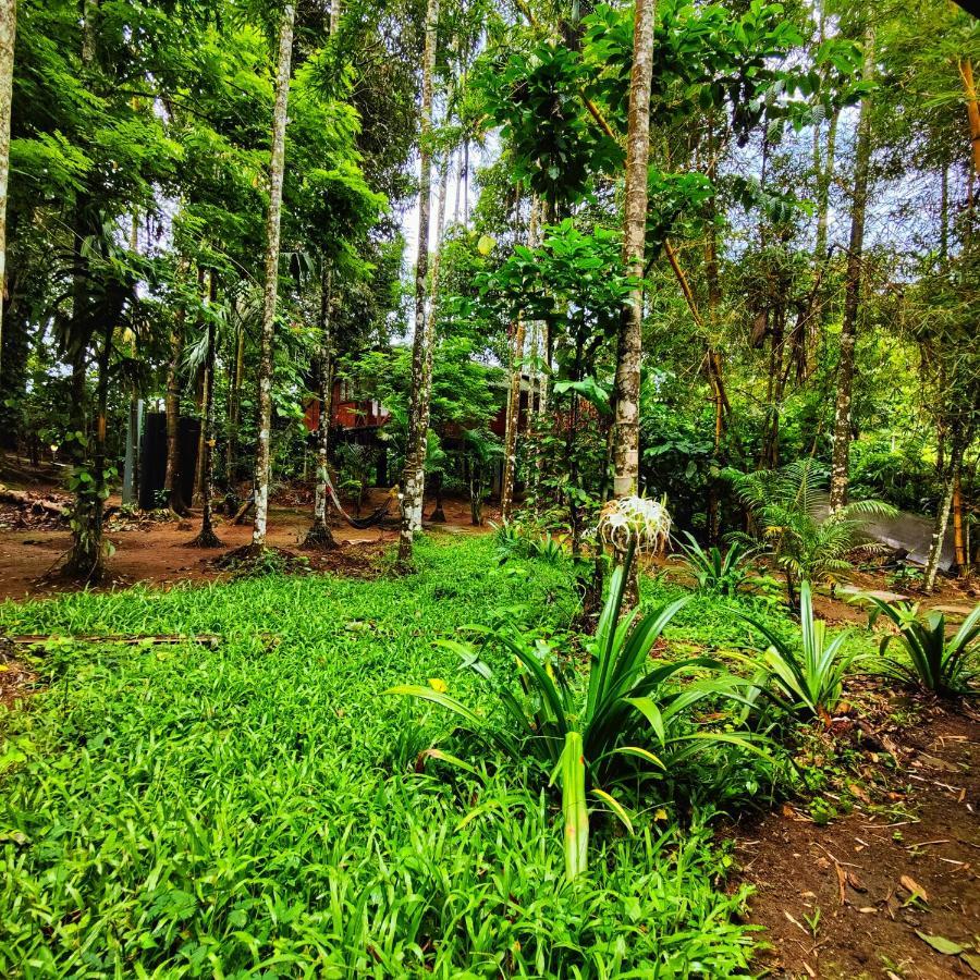 Wooden Cottages Glen Wayanad Meppadi Luaran gambar