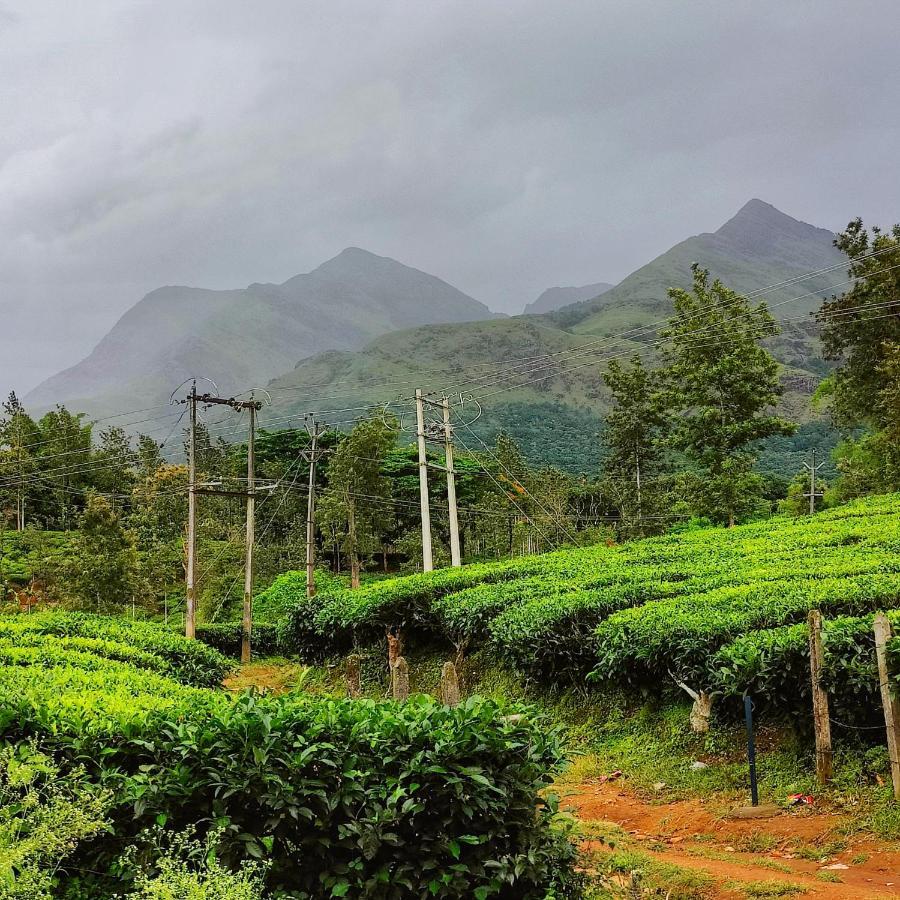 Wooden Cottages Glen Wayanad Meppadi Luaran gambar