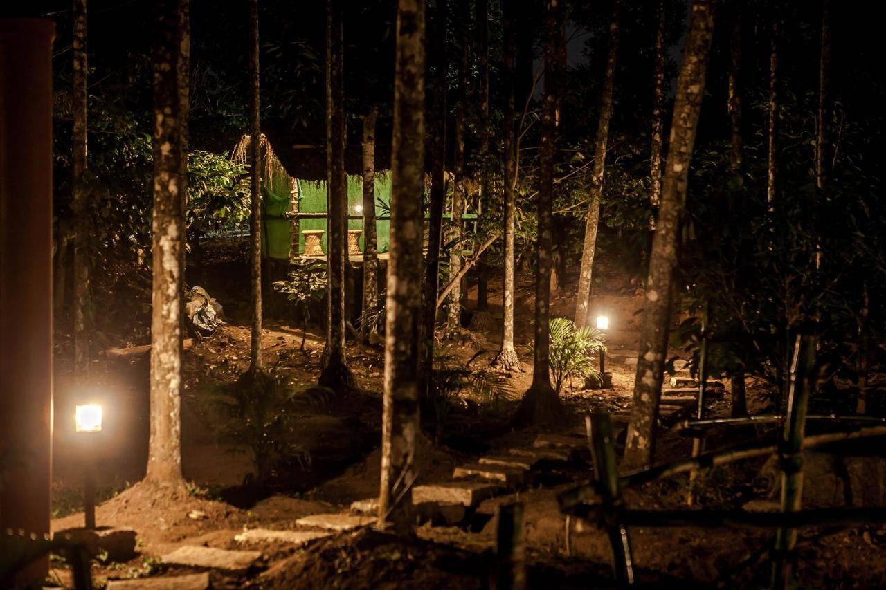 Wooden Cottages Glen Wayanad Meppadi Luaran gambar