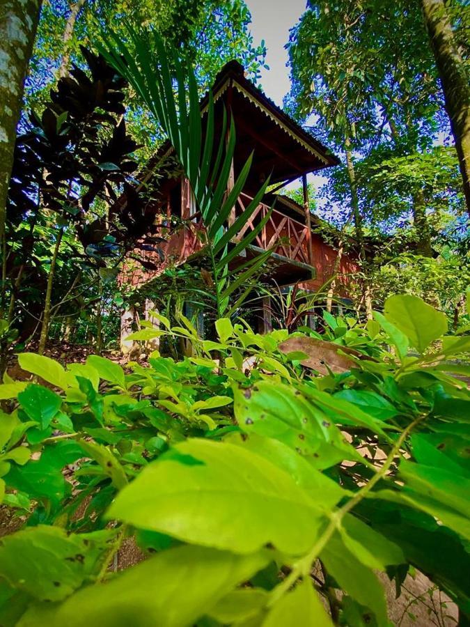Wooden Cottages Glen Wayanad Meppadi Luaran gambar