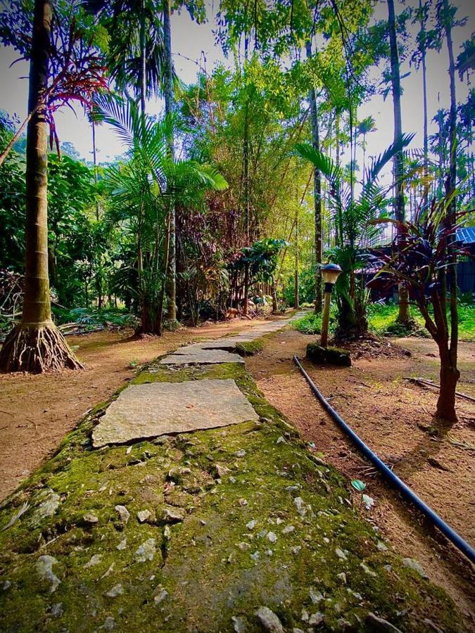 Wooden Cottages Glen Wayanad Meppadi Luaran gambar