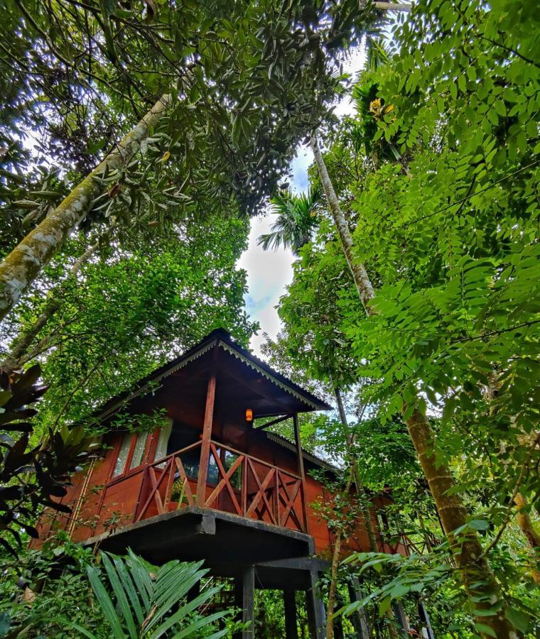 Wooden Cottages Glen Wayanad Meppadi Luaran gambar